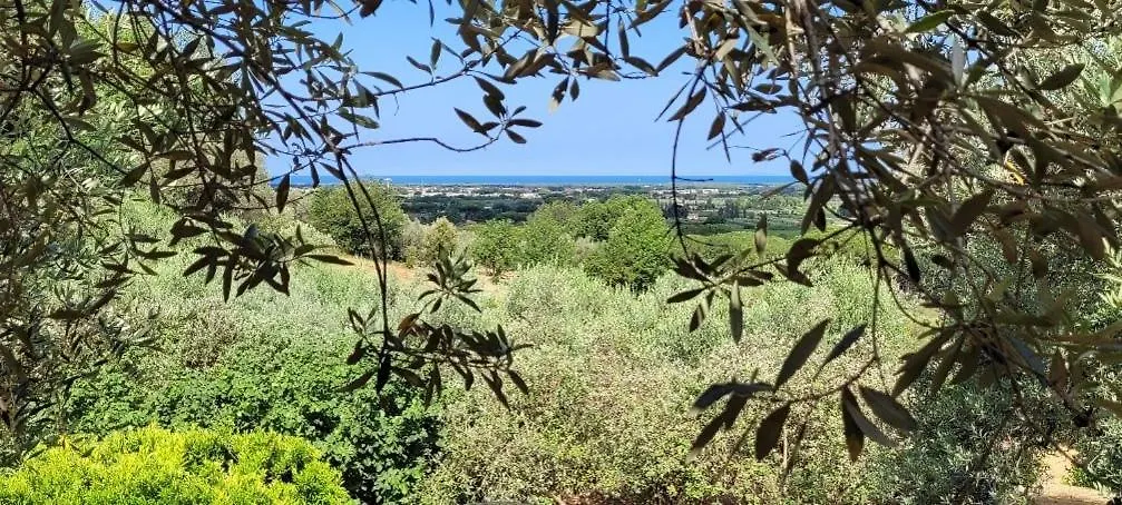 Agriturismo Villa Carducci Castagneto Carducci Holiday home