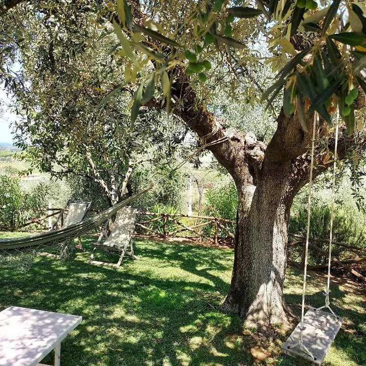 Agriturismo Villa Carducci Castagneto Carducci Holiday home