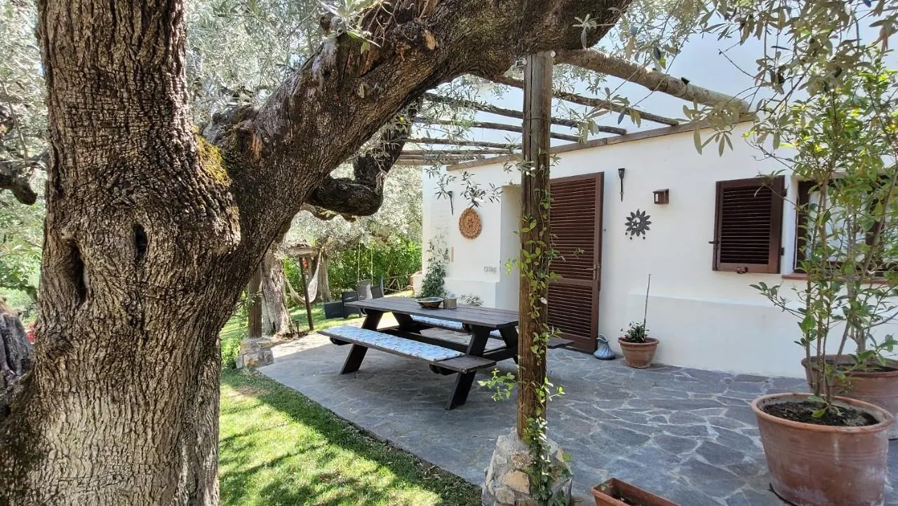 Agriturismo Villa Carducci Castagneto Carducci